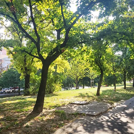 Apartament - Spacious - Classic Charm